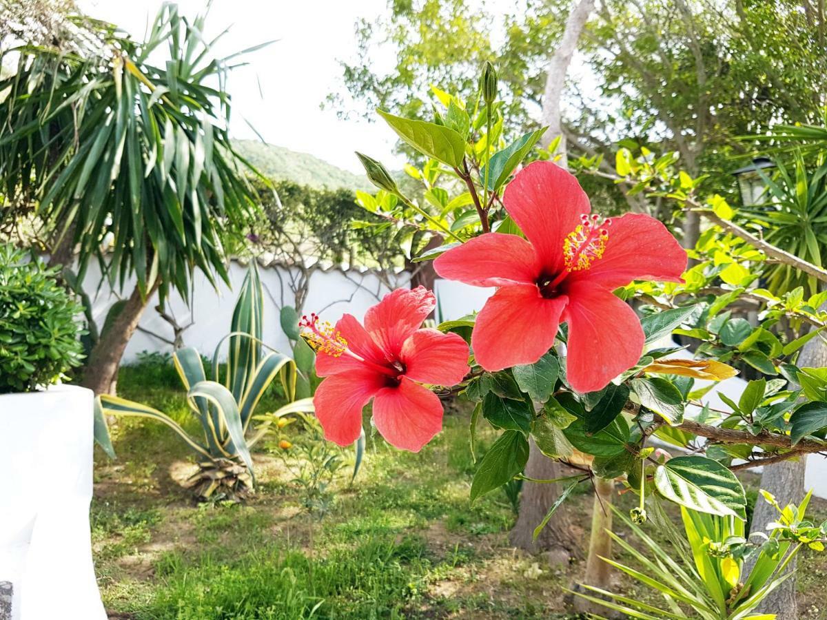 Villa Del Sogno بارغيليا المظهر الخارجي الصورة