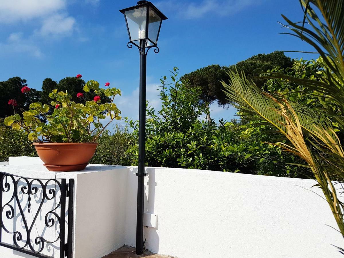 Villa Del Sogno بارغيليا المظهر الخارجي الصورة