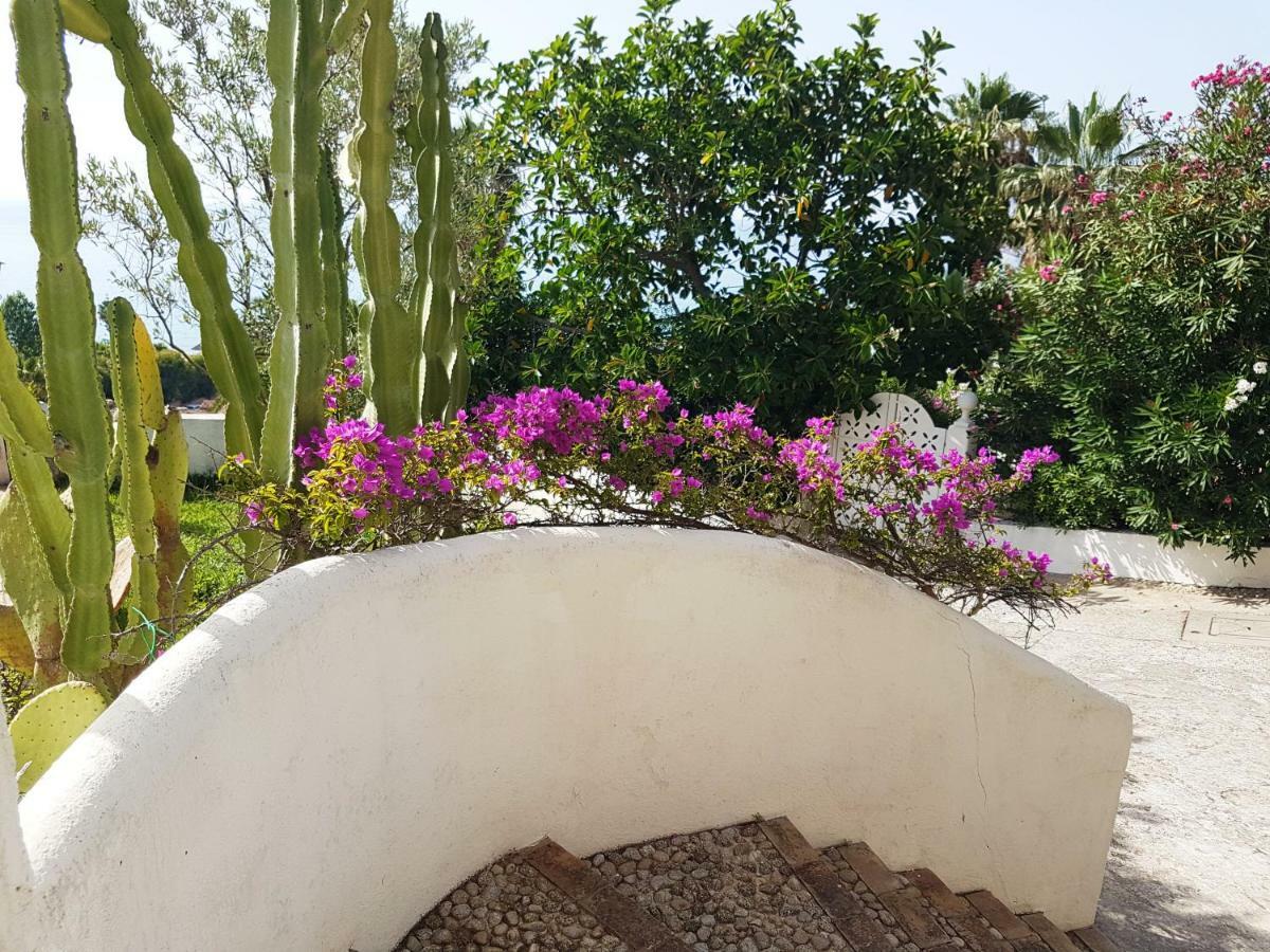 Villa Del Sogno بارغيليا المظهر الخارجي الصورة